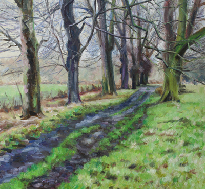 Katherine Cowtan
Winter Avenue
Oil on board  40 x 40 cms
£475