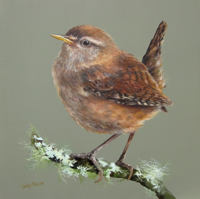Wren on a Lichen Branch
oil on gesso board 30 x 30 cm
£650
SOLD