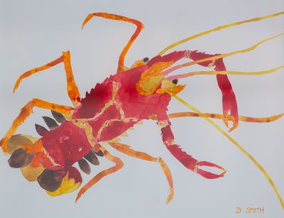David Smith RSW
Common Crawfish
Watercolour  38 x 50 cms
£1500