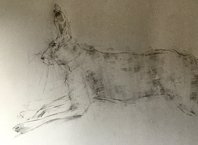 Joyce Gunn Cairns
Hare Leaping
Pencil  30 x 42 cms
£175 (unframed)