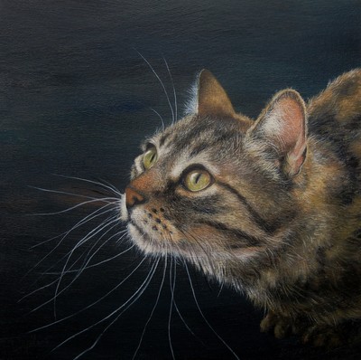 Lesley McLaren
Ready to Pounce
oil on gesso board 20 x 20 cm 
£420
SOLD