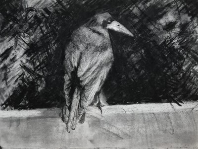 Erinclare Scrutton
Melding
charcoal on paper 39 x 53 cm
£480