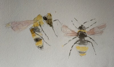 Joyce Gunn Cairns
Bees
Watercolour  20 x 29 cms
£175 (unframed)