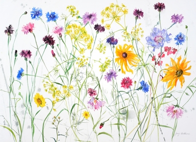 Jenny Matthews
Late Summer Garden
Watercolour  55 x 75 cms
£1850