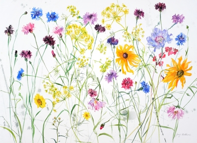Jenny Matthews
Late Summer Garden
Watercolour  55 x 75 cms
£1850