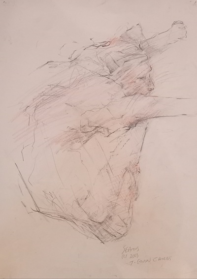 Joyce Gunn Cairns 
Seamus
Graphite and pencil  30 x 25 cms
£250