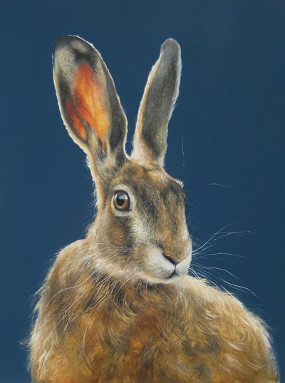 Lesley McLaren 
Midsummer Hare
Oil on gesso panel  40 x 30 cms
£400
SOLD