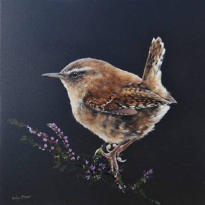 Lesley Mclaren 
Wren on the Heather
Oil on panel 40 x 40 cms 
£595