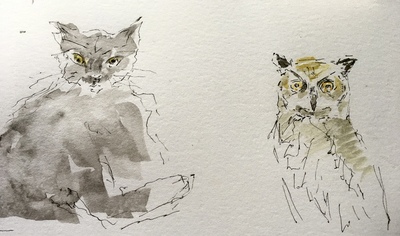 Joyce Gunn Cairns
Owl and The Pussycat
Ink and watercolour  24 x 30 cms
£295
SOLD