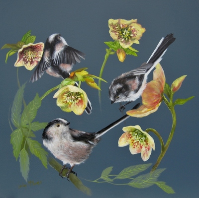 Lesley McLaren
Long Tailed Tits and Hellebores
oil on gesso board 30 x 30 cm
£650

