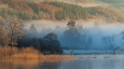 Loch Ard Geese
Fotospeed NST Bright White
15.5 x 27.5 ins Edition 1/5
£575