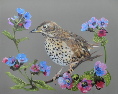 Thrush Among the Lugwort
Oil on panel  25 x 20 cms
£550