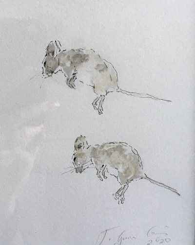 Joyce Gunn Cairns
Wee Mice
Watercolour 29 x 21 cms
£195 