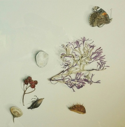 Marsha Burke
The Cup
watercolour  63 x 63 cms
£500