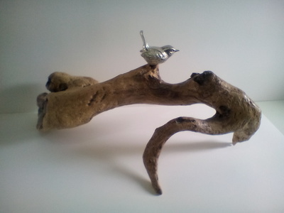 David White
Contemplation
Driftwood and Pewter   h25cms
£290