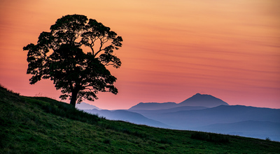 Jamie Ballantine
Ben Lomond from Carbeth
Framed Photograph 50 x 76 cms
£295