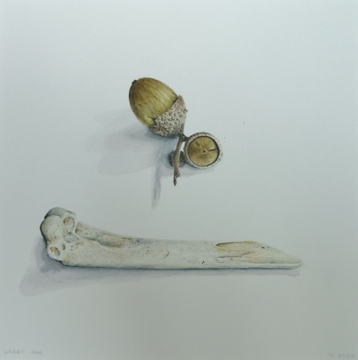 Marsha Burke
Great Oak
watercolour  30 x  30 cms
£220
