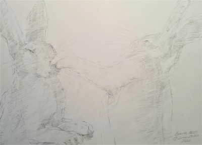 Boxing Hares
pencil  30 x 40 cms
£225 (mounted)
SOLD