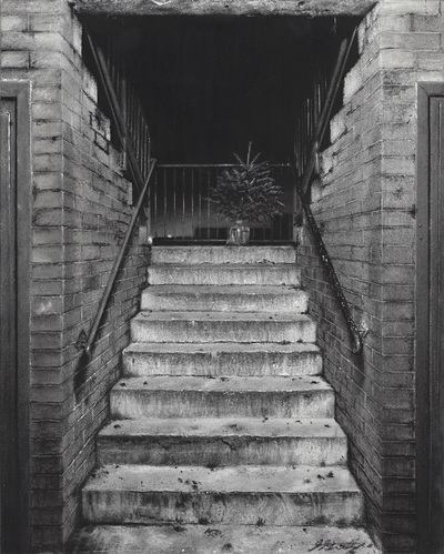 Jonathan Stockley
January
Charcoal  38 x 33 cms
£450
