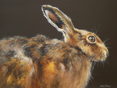 Lesley McLaren
Caught in the Light
Oil on gesso board  30 x 40 cms
£595
