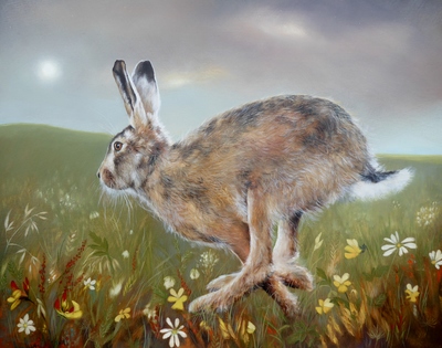 Hare in a Summer Meadow
Oil on panel  40 x 50 cms
£850
