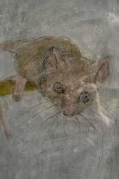 Joyce Gunn Cairns
Wee Mouse
Oil  34 x 22 cms
£275
SOLD