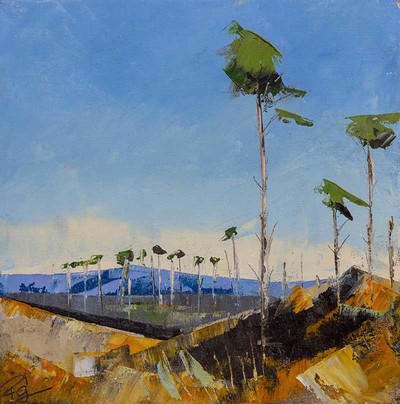 Paul Graham
Galloway Forest Clearing
Oil  30 x 30 cms
£545