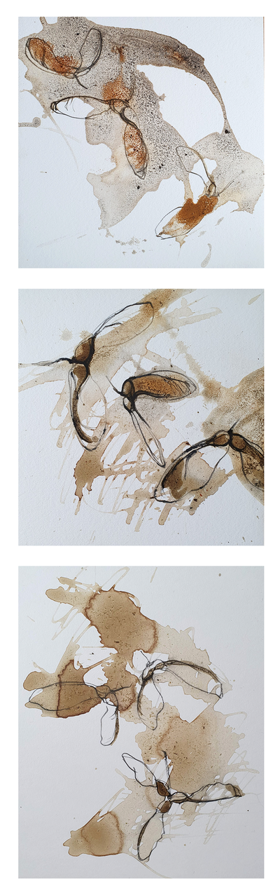 Falling Sycamore II
sycamore juice on paper 60 x 25 cm
£450
SOLD
