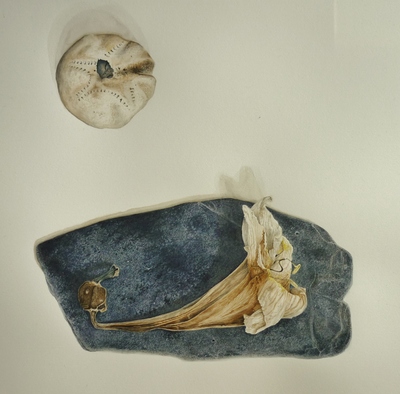 Marsha Burke
The Dream
Watercolour  32 x 32 cms
£450
