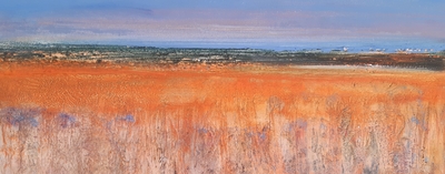 Karen MacWhinnie
Acrylic on canvas  20 x 50 cms
£325