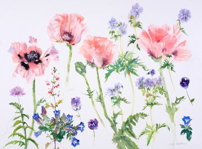 Jenny Matthews
Candy Floss Poppies
Watercolour  55 x 75 cms
£1850