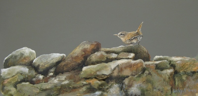 Lesley McLaren
Wren on a Drystone Dyke
Oil on board  15 x 30 cms
SOLD