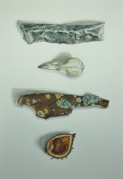 Marsha Burke
Animal, Vegetable, Mineral
Watercolour  35 x 25 cms
£400