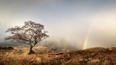 Arran Light
Fotospeed Cotton Etching 305g
18 x 32 ins Edition 1/5  
£750