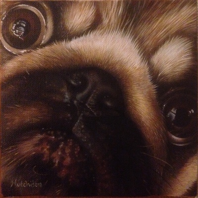 Susan Hutchison
Wee Pug
Oil  10 x 10 cms
£495