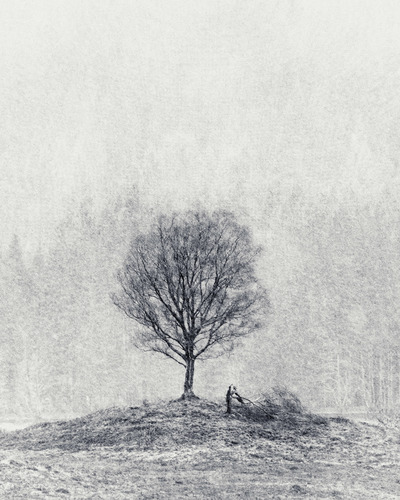 Winters' Stand
Fotospeed Cotton Etching 305g
15 x 18.5 ins Edition 1/10  
£375