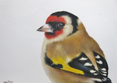 Lesley McLaren
Portrait of a Goldfinch
Oil on gesso panel  13 x 18 cms 
£295
SOLD