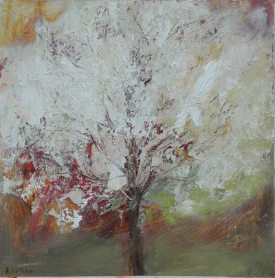 Cherry
Oil on board  50 x 50 cms
£1800