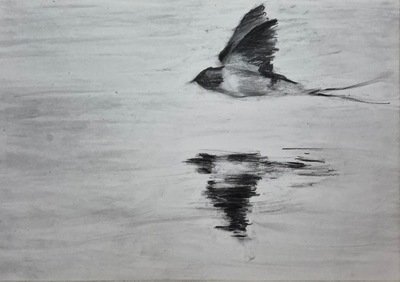 Erinclare Scrutton
Skimming
charcoal on paper 30 x 40 cm
£400