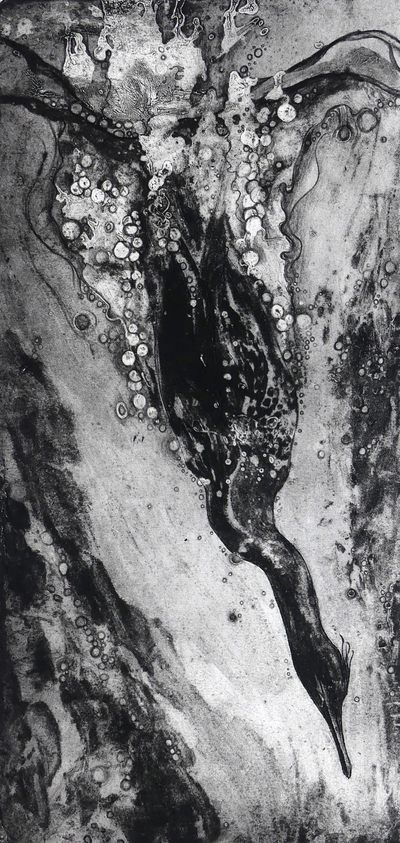 Liz Myhill
Plunge II
Collagraph & photo etching  20 x 40 cms
£490
SOLD 