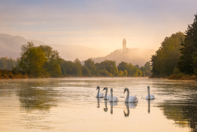 Swanning Around
Fotospeed NST Bright White
15 x 22.5 ins 
£380