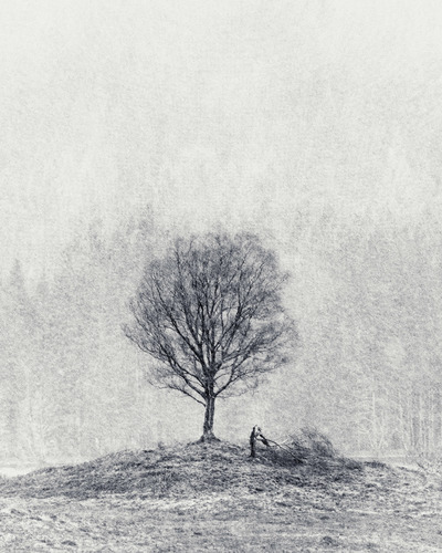 Dylan Nardini
Winters' Stand
Fotospeed Cotton Etching 305g
38 x 47 cm Edition 1/10
£375