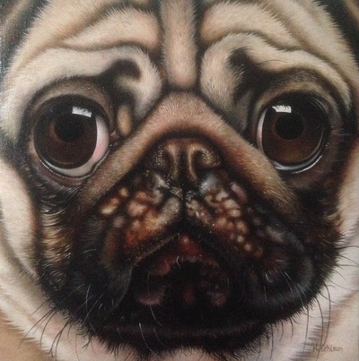 Pugshot
Oil
20 x 20 cms
£750