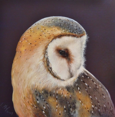 Portrait of a Barn Owl
Oil on panel  15 x 15 cms
SOLD
