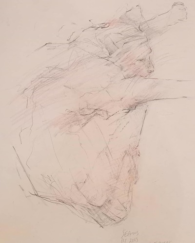 Joyce Gunn Cairns
Seamus
Conte pencil 35 x 30 cms
£175 (unframed)
SOLD