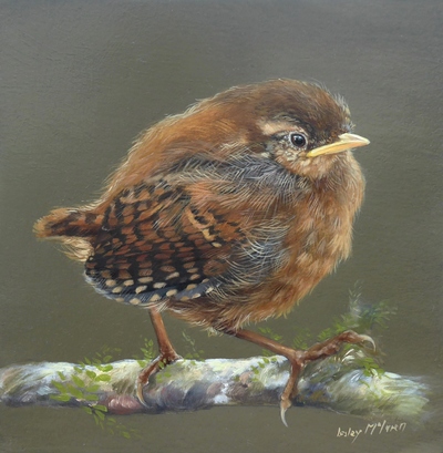 Young Wren
Oil on panel  15 x 15 cms
SOLD