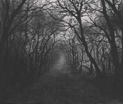 Jonathan Stockley
The Path Through the Dark Wood
Charcoal  10 x 12 cms
£195 (unframed)