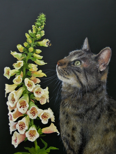 Nature Study
oil on gesso board 40 x 30 cm
£795
SOLD