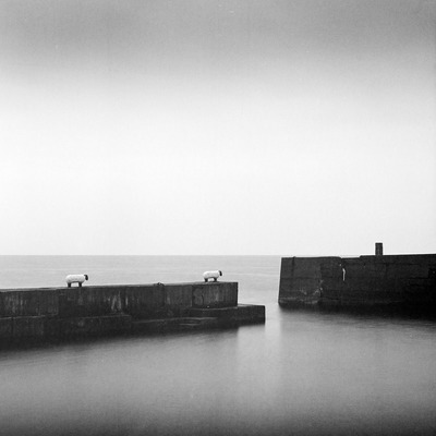 Dylan Nardini
Corrie Harbour
Fotospeed Cotton Etching textured 305g
38 x 38 cm Edition 1/10
£350