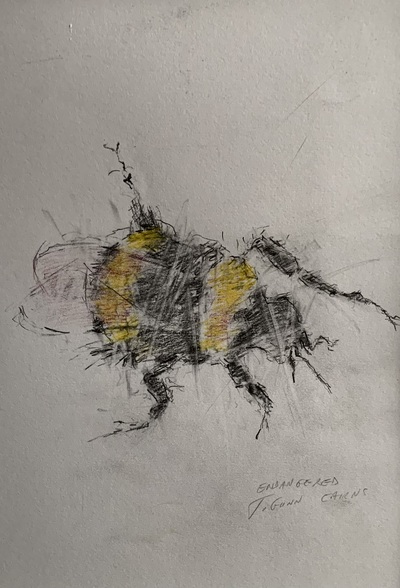 Joyce Gunn Cairns
Endangered
pencil  30 x 22 cm
£255